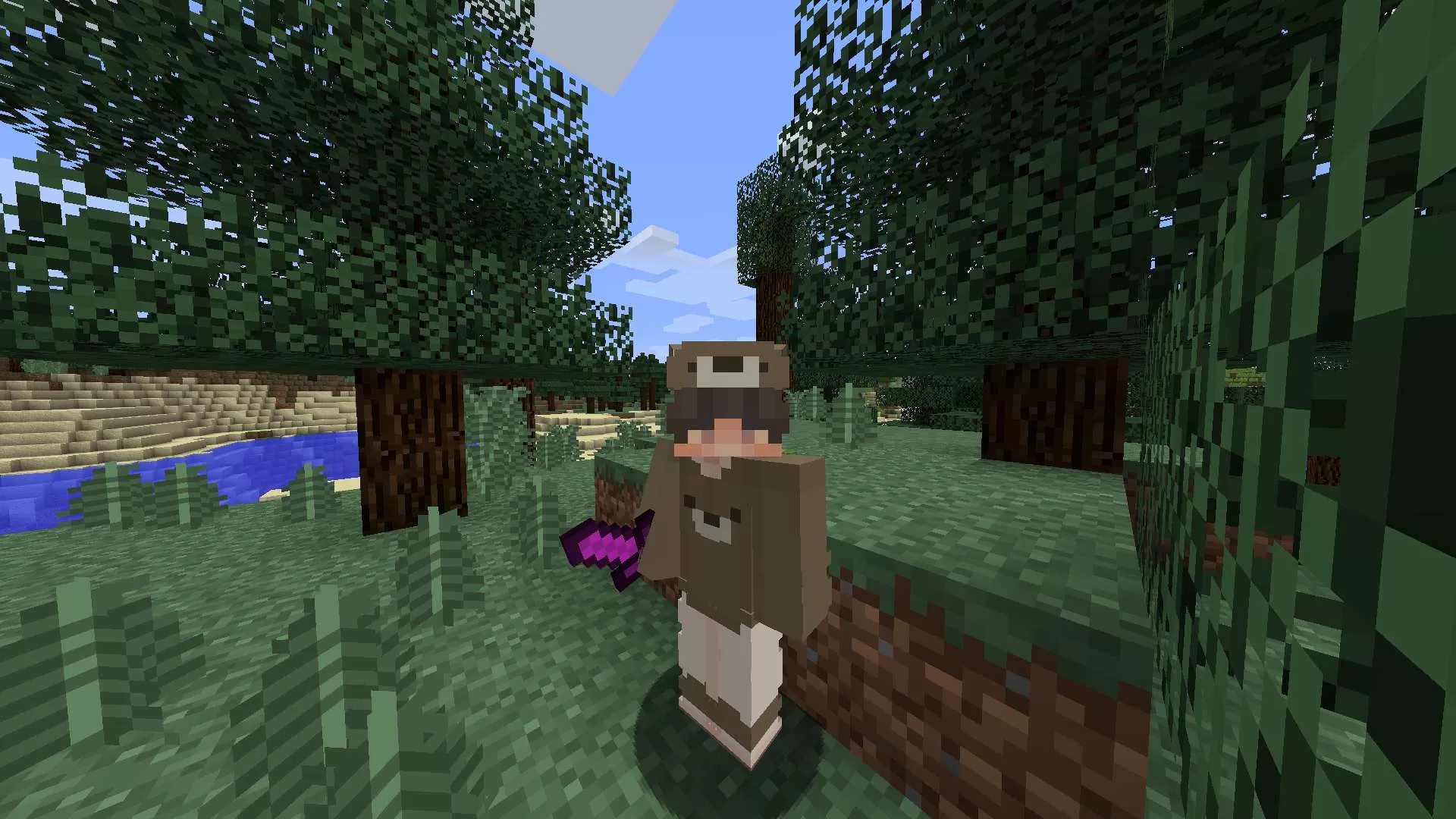 Gallery Image 5 for Elderberry V1 on PVPRP